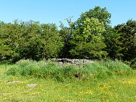 Sériers dolmen Table Loup (5).jpg