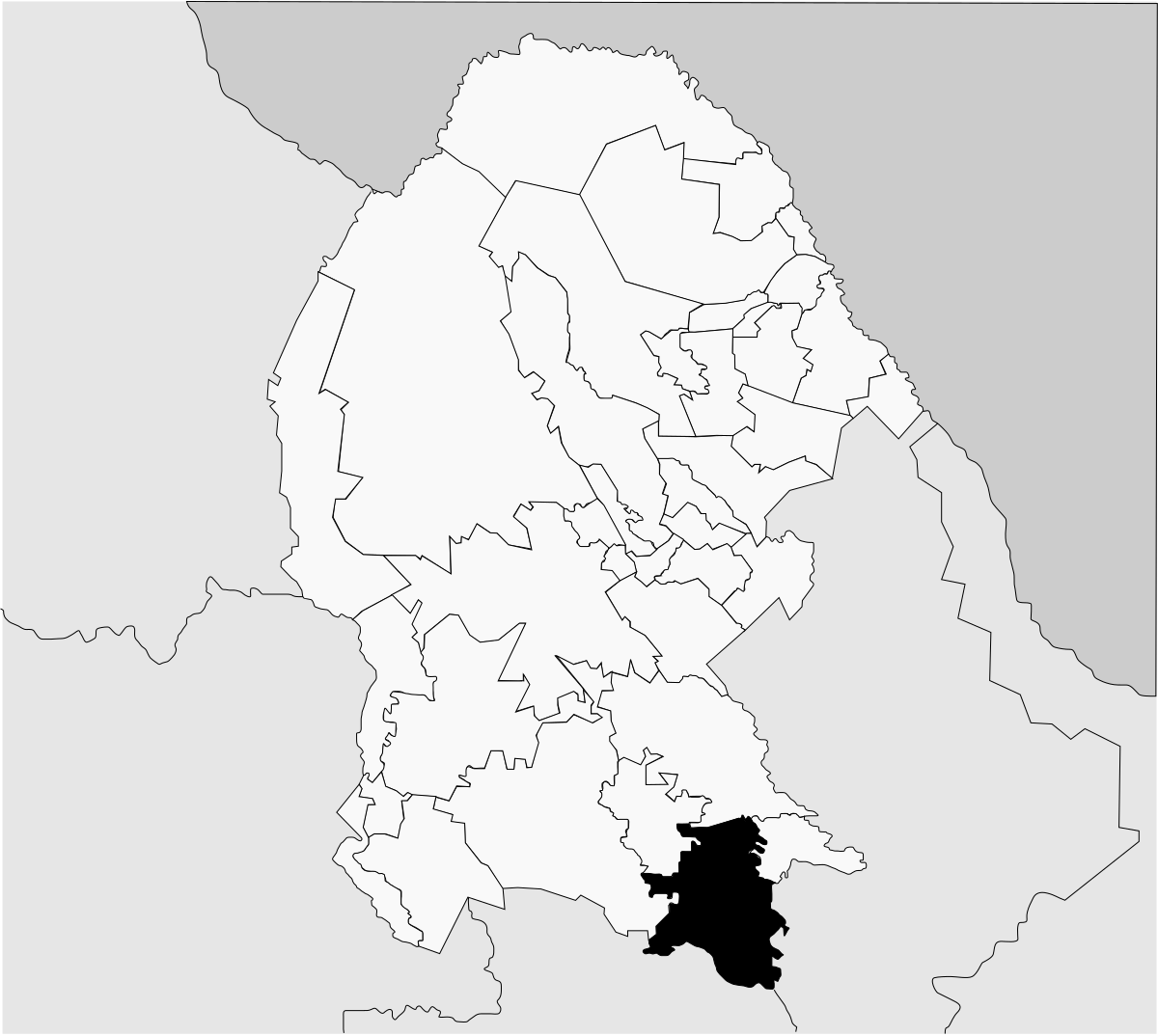 Saltillo Municipality