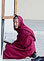 Moine au monastère de Dagpo Datsang à Kais dans la vallée de Kullu.