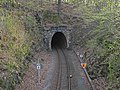 Railway tunnel I Sebnitz (individual monument for ID No. 09302098)