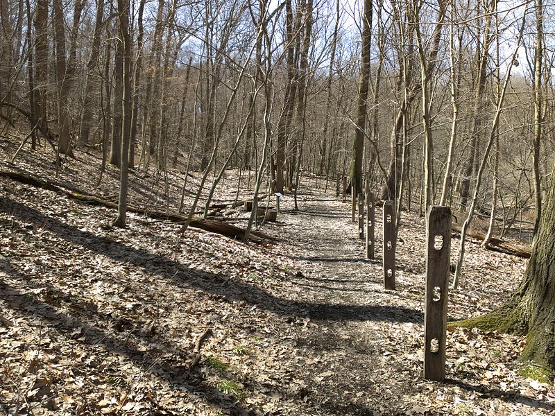 File:Self-guided nature trail at Latodami Nature Center - 8.jpeg