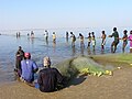 Hier sieht man Menschen beim gemeinsamen Fischen an der Küste Senegals.