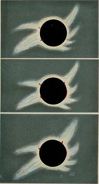 File:Sketches of the total solar eclipse, 1868 (19745966082).jpg