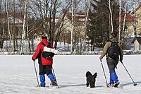 Snowshoeing in Kerava, Finland in March 2011 Snowshoers Lumikengilla IMG 4601 C.JPG