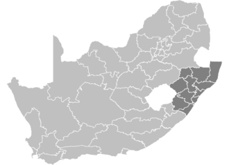 A map of South Africa showing the districts of KwaZulu-Natal province South Africa Districts showing KZ.png