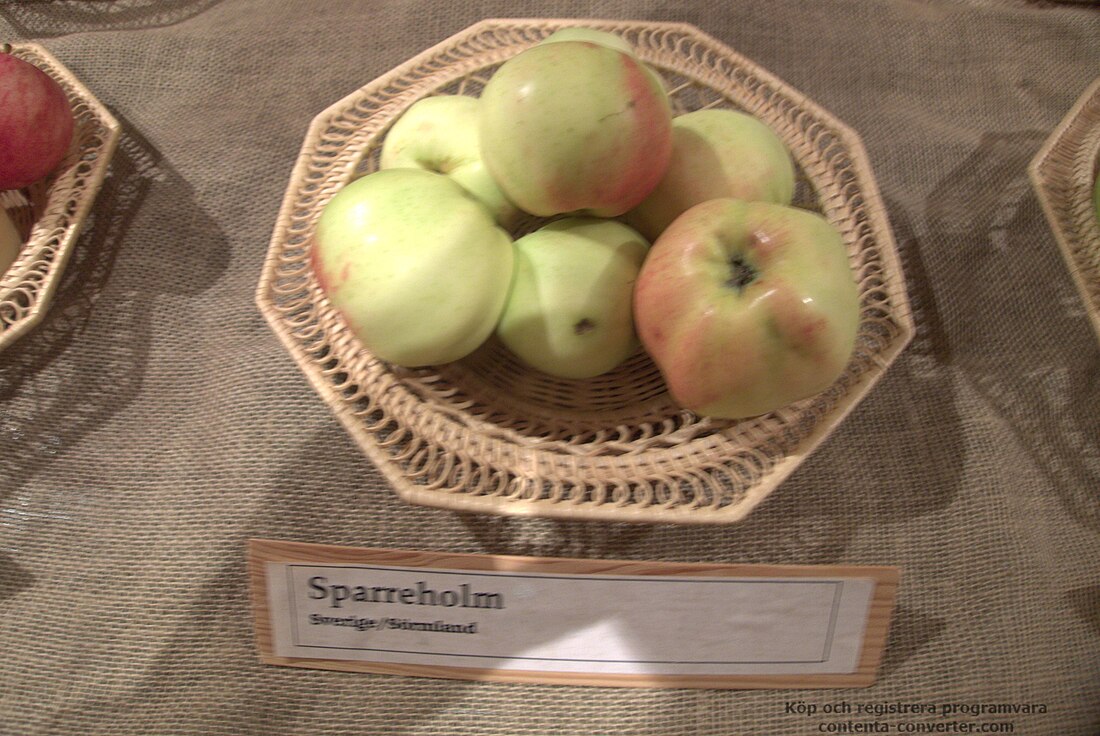 Sparreholm (äpple)