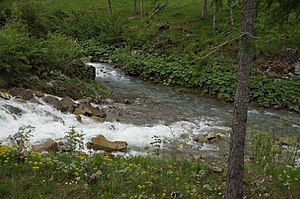 Flora Und Vegetation Des Fürstentums Liechtenstein: Naturraum des Fürstentum Liechtenstein, Pflanzengesellschaften, Naturschutz