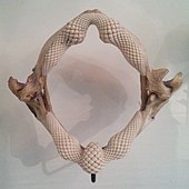 Stingray teeth and jaws.jpg