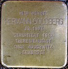 Stumbling Stone Hermann Goldberg.jpg