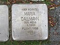 der Stolperstein für Maria Callmann