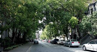 <span class="mw-page-title-main">Milton Park, Montreal</span> Neighbourhood in Montreal, Quebec, Canada