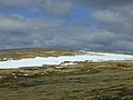 Das Gipfelplateau des Càrn Ghluasaid