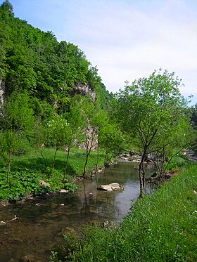 Çizim