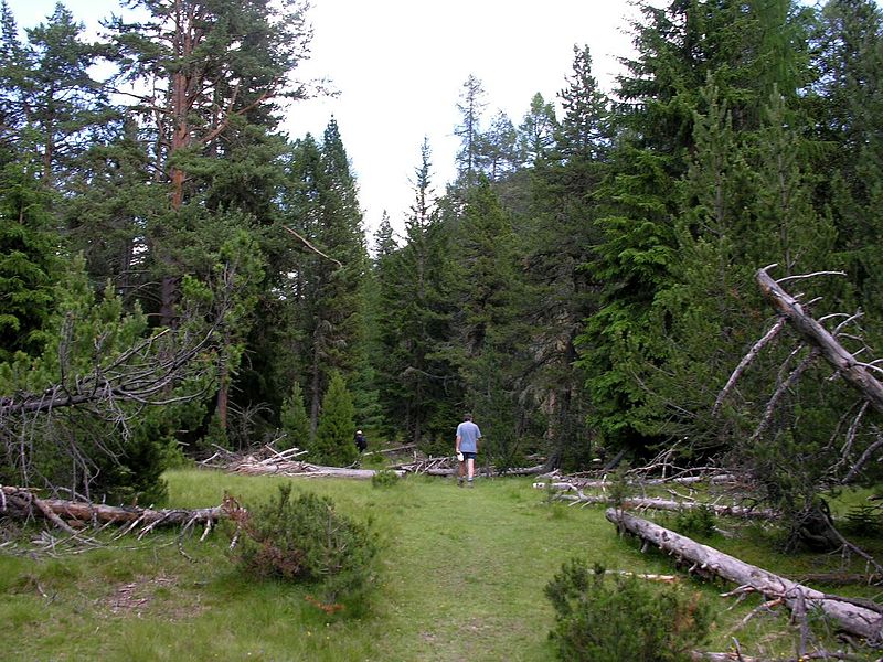 File:Swiss National Park 164.JPG