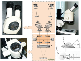 Modern stereomicroscope optical design.
A - Objective B - Galilean telescopes (rotating objectives) C - Zoom control D - Internal objective E - Prism F - Relay lens G - Reticle H - Eyepiece Sztereomik.png