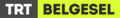 TRT Belgesel'in 2015'ten 2019'a kadar kullandığı logosu.