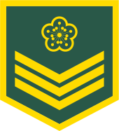 Taiwanese specialist rank insignia Taiwan-army-OR-3.svg