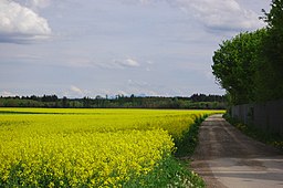 Lanzenhaarer Weg Taufkirchen