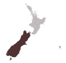 Te Tai Tonga electorate since 2020 (detailed).svg