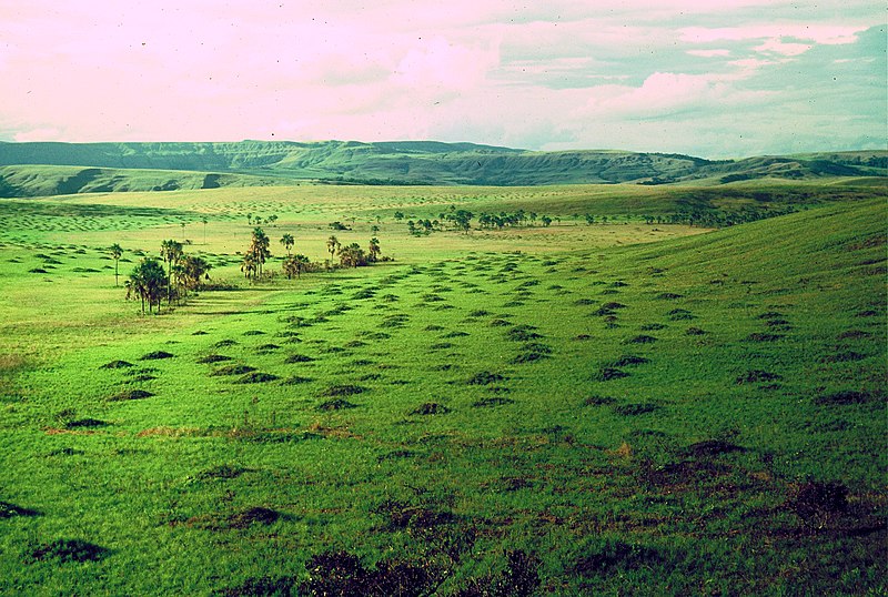 File:Termiteros Gran Sabana.jpg