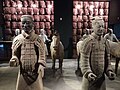 Terracotta army museum.jpg