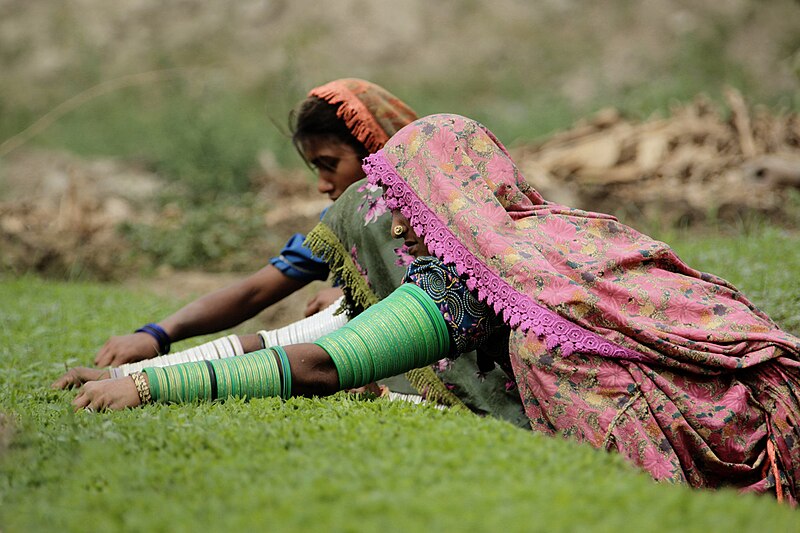 File:Thar women.jpg