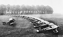 Photo noir et blanc d'avions biplans alignés dans un champ.