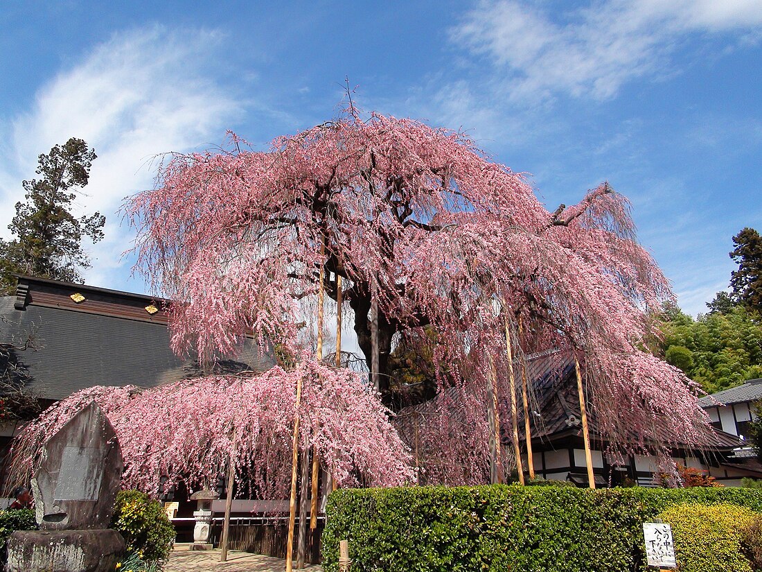 甲州市