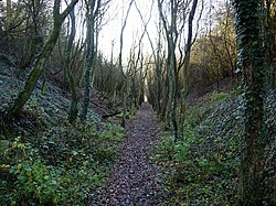 Tiffield Pocket Park - geograph.org.uk - 295529.jpg