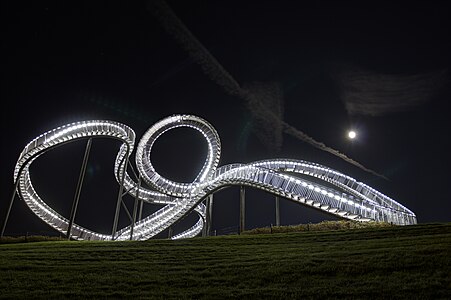 Tiger & Turtle