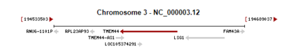 TMEM44 gene on human chromosome 3 Tmem44.png