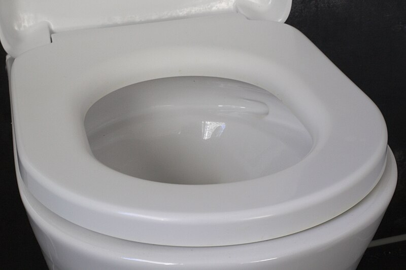 File:Toilet seat 001.jpg