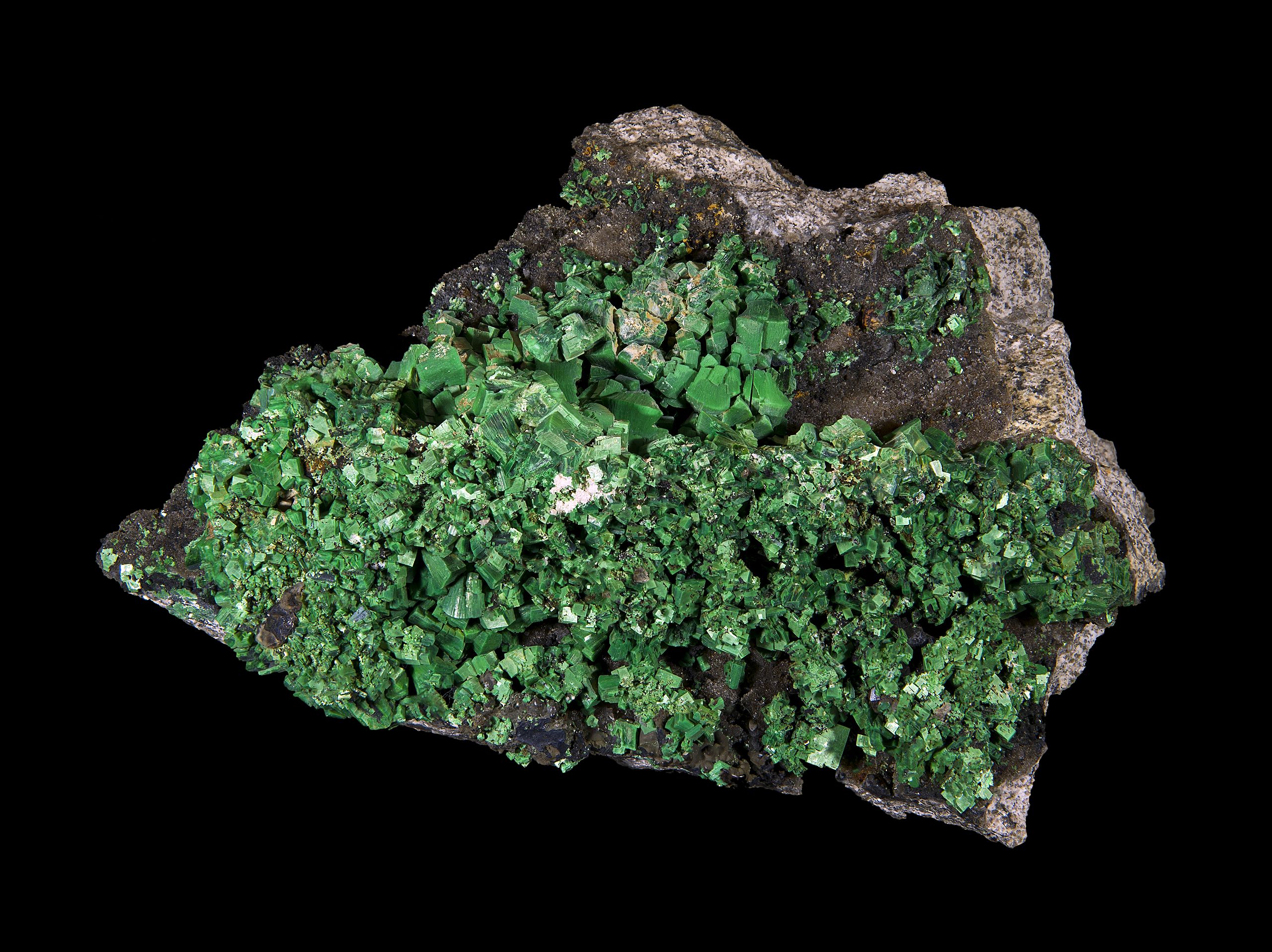 [Image: 2560px-Torbernite_Aveyron_HD.jpg]