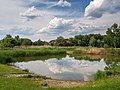 * Nomination Carp pond in Trabelsdorf --Ermell 05:41, 14 June 2018 (UTC) * Promotion  Support Good quality. --Granada 06:09, 14 June 2018 (UTC)