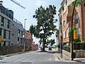 Árbol en la calle Rafael Pérez Estrada, 2021-08-31.