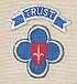 Trieste United Государственные войска на плече patch.jpg 