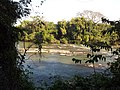 Trilha beirando rio Jaguari - panoramio (1).jpg