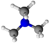 Image illustrative de l’article Triméthylamine