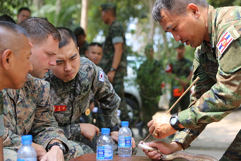 File:U.S., Thai, Korean Marines conduct Jungle Survival Training 150212-M-LS369-003.jpg