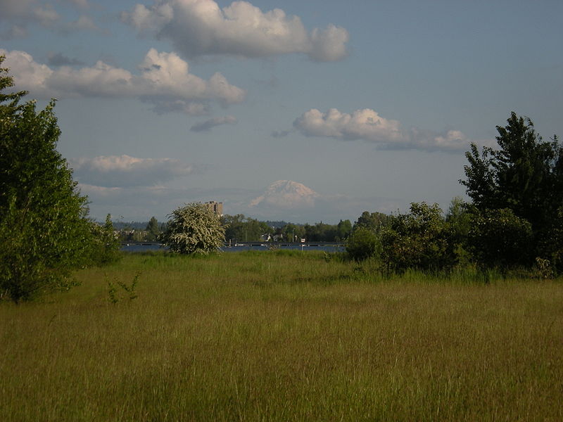 File:Union Bay Natural Area - toward Mt. Rainier.jpg