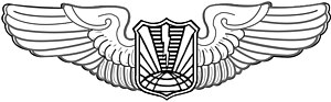 United States Air Force Unmanned Aircraft Operator Badge.jpeg