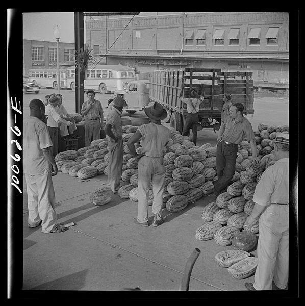File:Unloading watermelons at the farmers' market 8c35068v.jpg