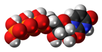 Model bola dan batang anion molekul UTP