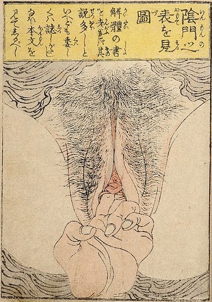 File:Vaginal fingering in 1823 art detail, from- Keisai Eisen, News from the Bedroom(C) The Pillow Library (cropped).jpg
