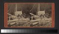 View at the Ferry Dock, foot of the Palisades (NYPL b11707647-G90F453 025F).tiff