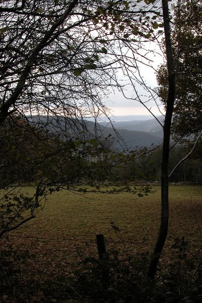 File:View down the Wye Valley to the Bristol Channel - geograph.org.uk - 86296.jpg