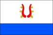 Vlag