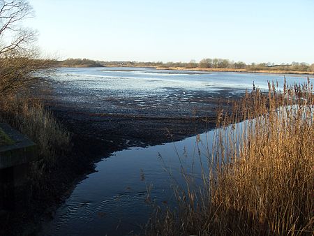 Vogelfreistätte Lebrader Teich 2