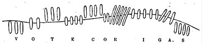 The ogham inscription on the 'Monument of Voteporigis the Protector', translated by John Rhys, reading from bottom to top (image was rotated 90 degrees clockwise). Votecorigas.jpg