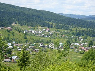 <span class="mw-page-title-main">Skhidnytsia</span> Rural locality in Lviv Oblast, Ukraine